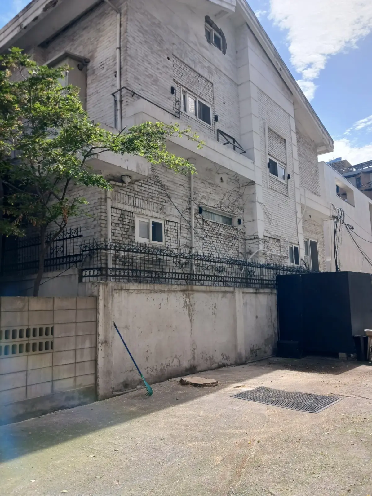 상가 주차장 은행나무 벌목 후 깨끗해진 마포구 현장