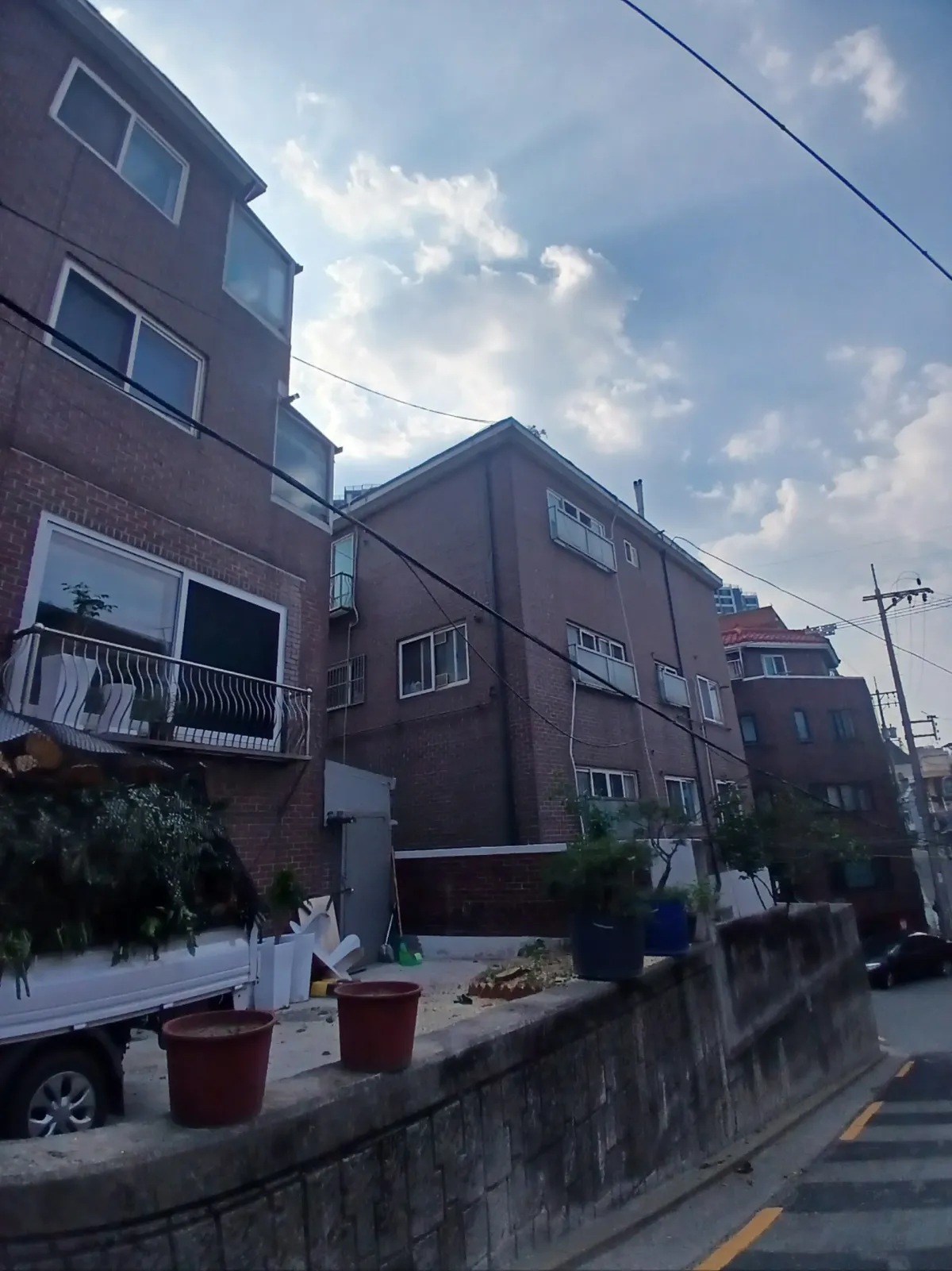 전기줄 걸린 감나무 제거 후 정리된 종로구 빌라 화단